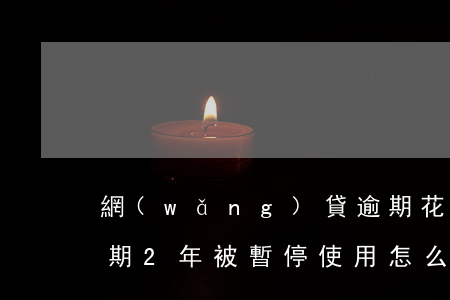 網(wǎng)貸逾期花唄怎么停了(花唄逾期2年,被暫停使用,怎么才能把欠的錢還進(jìn)去)