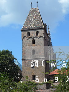網(wǎng)貸逾期處理方案大全(網(wǎng)貸逾期處理方案大全)