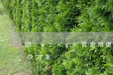 網(wǎng)貸逾期處理方法：最劃算的解決方案