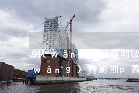 網(wǎng)貸逾期被P圖如何報警(網(wǎng)貸逾期p圖照片)
