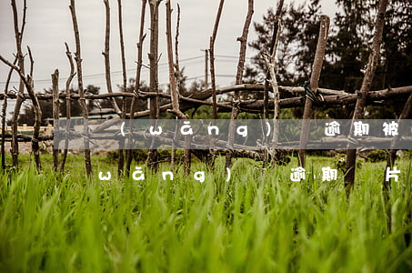 網(wǎng)貸逾期被p圖怎么回答(網(wǎng)貸逾期圖片怎么作假)