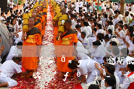 網(wǎng)貸逾期被上訴了敗訴了怎么收費(fèi)-網(wǎng)貸被上訴后需要支付多少逾期費(fèi)用