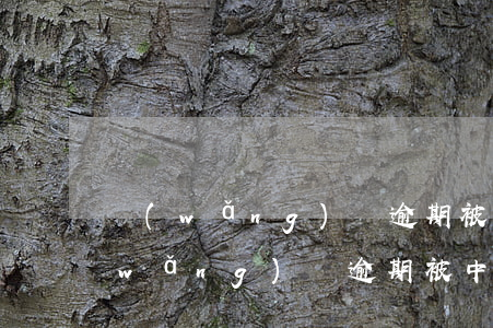 網(wǎng)貸逾期被中金支付扣款(網(wǎng)貸逾期被中金支付扣款)