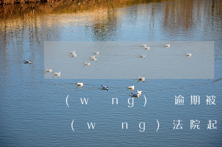 網(wǎng)貸逾期被互聯(lián)網(wǎng)法院起訴怎么查-網(wǎng)貸逾期被互聯(lián)網(wǎng)法院起訴怎么查詢案件