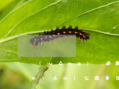 網(wǎng)貸逾期被代償還不上保險(xiǎn)公司多久會(huì)起訴 網(wǎng)貸被人保代償沒(méi)錢還多久會(huì)起訴