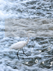 網(wǎng)貸逾期被仲裁怎么回事(網(wǎng)貸會被仲裁嗎)