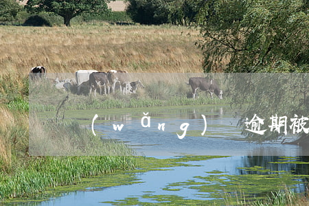 網(wǎng)貸逾期被仲裁要幾天