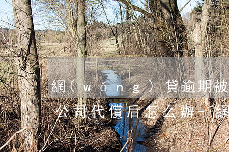 網(wǎng)貸逾期被保險(xiǎn)公司代償后怎么辦-網(wǎng)貸逾期被保險(xiǎn)公司代償后怎么辦理