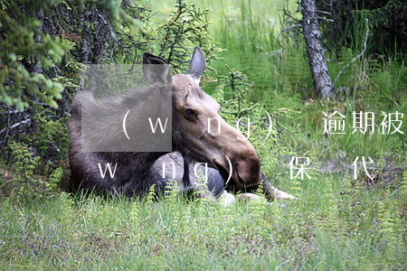 網(wǎng)貸逾期被保險代償上門(網(wǎng)貸保險代償后起訴我)