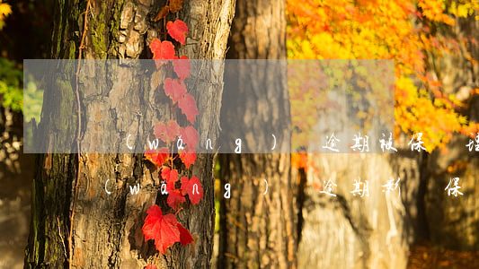 網(wǎng)貸逾期被保險理賠啥意思(網(wǎng)貸逾期影響保險嗎)