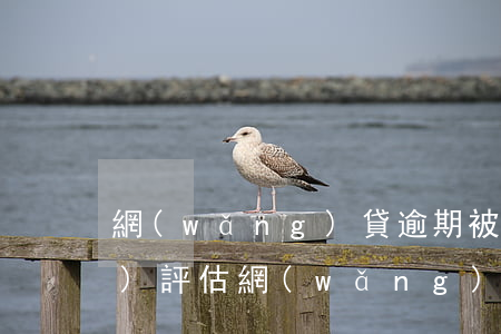 網(wǎng)貸逾期被做資產(chǎn)評估(網(wǎng)貸逾期說要核實資產(chǎn))