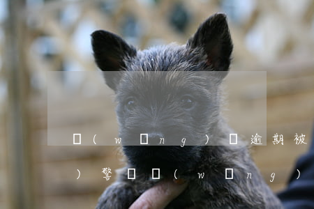 網(wǎng)貸逾期被催收能報(bào)警嗎(網(wǎng)貸逾期可以報(bào)警嗎)