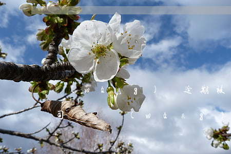 網(wǎng)貸逾期被凍結(jié)公司賬號(網(wǎng)貸逾期仲裁凍結(jié)所有銀行賬戶)