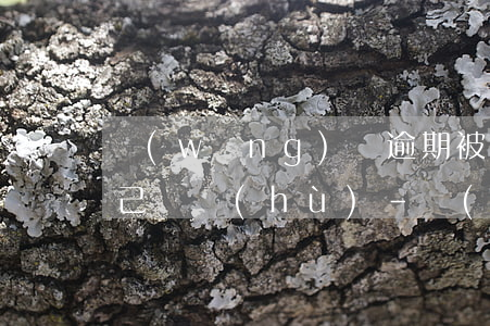 網(wǎng)貸逾期被告上法庭怎么給自己辯護(hù)-網(wǎng)貸逾期被告上法庭怎么給自己辯護(hù)呢