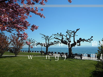 網(wǎng)貸逾期被告知仲裁立案(網(wǎng)貸逾期起訴)