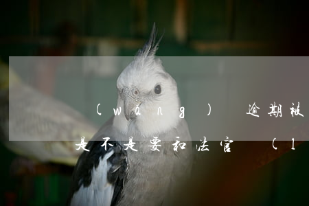 網(wǎng)貸逾期被執(zhí)行了是不是要和法官聯(lián)系-網(wǎng)貸逾期被執(zhí)行了是不是要和法官聯(lián)系呢
