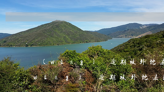 網(wǎng)貸逾期被外地法院起訴(網(wǎng)貸逾期被外地法院起訴不去會拘傳嗎)