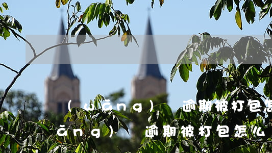 網(wǎng)貸逾期被打包怎么辦(網(wǎng)貸逾期被打包怎么辦)