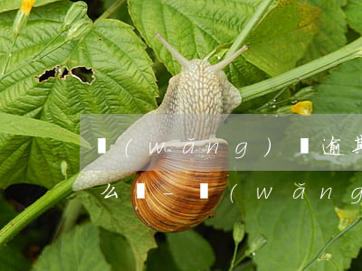 網(wǎng)貸逾期被打電話通知父母怎么辦-網(wǎng)貸逾期給父母打電話算爆通訊錄嗎
