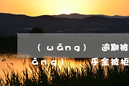 網(wǎng)貸逾期被拒怎么處理(網(wǎng)貸幾乎全被拒了怎么辦)
