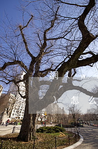 網(wǎng)貸逾期被法院凍結(jié)怎么查 網(wǎng)貸逾期起訴說凍結(jié)所有財(cái)產(chǎn)