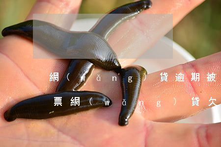 網(wǎng)貸逾期被法院發(fā)傳票(網(wǎng)貸欠幾千塊會被法院傳票嗎)