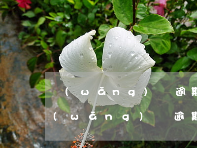 網(wǎng)貸逾期被法院起訴前征兆(網(wǎng)貸逾期被法院起訴前征兆)