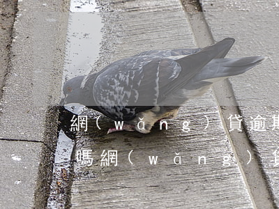 網(wǎng)貸逾期被爆通訊錄是違法的嗎(網(wǎng)貸逾期現(xiàn)在會爆通訊錄嗎)