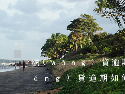 網(wǎng)貸逾期被爆通訊錄煩(網(wǎng)貸逾期如何不被爆通訊錄)