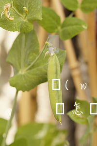 網(wǎng)貸逾期被發(fā)律師函會怎樣(網(wǎng)貸逾期了會收到律師函嗎)