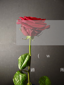 網(wǎng)貸逾期被發(fā)短信到通訊錄所有人-網(wǎng)貸逾期被發(fā)短信到通訊錄所有人怎么辦