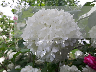 網(wǎng)貸逾期被網(wǎng)絡(luò)仲裁怎么知道真假-網(wǎng)貸逾期被網(wǎng)絡(luò)仲裁怎么知道真假呢