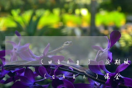網(wǎng)貸逾期被訴前財(cái)產(chǎn)保全（網(wǎng)貸被起訴財(cái)權(quán)保全）