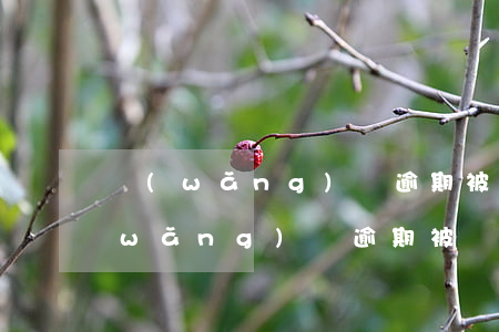 網(wǎng)貸逾期被訴訟微信被凍 網(wǎng)貸逾期被訴訟微信被凍