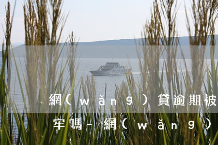 網(wǎng)貸逾期被起訴不去開庭會坐牢嗎?-網(wǎng)貸逾期被起訴不去開庭會坐牢嗎知乎