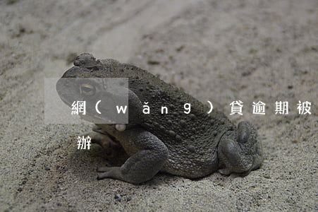 網(wǎng)貸逾期被起訴也沒錢還怎么辦