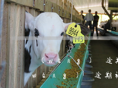 網(wǎng)貸逾期被起訴了會怎樣（網(wǎng)貸逾期被起訴了會怎樣）