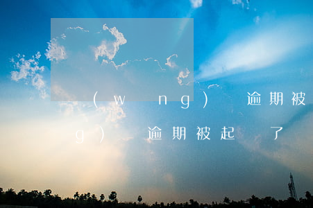 網(wǎng)貸逾期被起訴了(網(wǎng)貸逾期被起訴了沒錢還怎么辦)