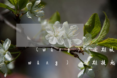 網(wǎng)貸逾期被起訴了還了錢(網(wǎng)貸逾期提起訴訟了怎么辦)