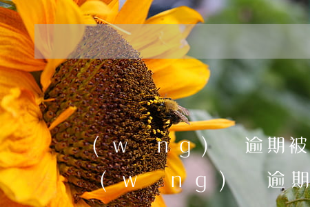 網(wǎng)貸逾期被起訴了還能坐車嗎 網(wǎng)貸逾期被起訴能坐飛機(jī)嗎