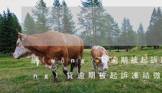 網(wǎng)貸逾期被起訴凍結(網(wǎng)貸逾期被起訴凍結微信支付 會凍結信用卡嗎)