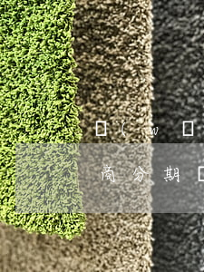 網(wǎng)貸逾期被起訴協(xié)商分期還本金(網(wǎng)貸逾期被起訴協(xié)商分期還本金)