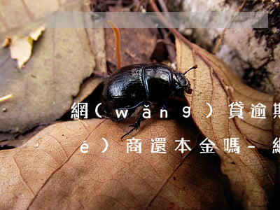 網(wǎng)貸逾期被起訴可以協(xié)商還本金嗎-網(wǎng)貸逾期被起訴可以協(xié)商還本金嗎