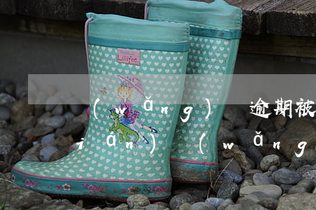網(wǎng)貸逾期被起訴后在還錢(qián)(網(wǎng)貸逾期起訴立案標(biāo)準(zhǔn)還款后還是繼續(xù)起訴嗎)