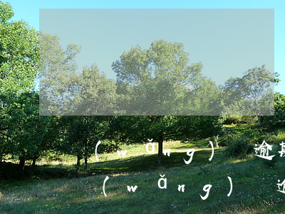 網(wǎng)貸逾期被起訴后還款可以嗎（網(wǎng)貸逾期被起訴還了還會(huì)被傳喚嗎）