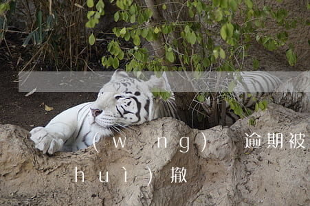 網(wǎng)貸逾期被起訴后還錢了會(huì)撤訴嗎