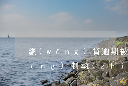 網(wǎng)貸逾期被起訴多久強(qiáng)制執(zhí)行