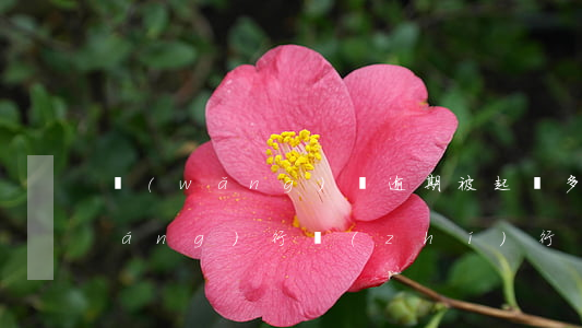 網(wǎng)貸逾期被起訴多久強(qiáng)行執(zhí)行(網(wǎng)貸逾期被起訴多久強(qiáng)行執(zhí)行)