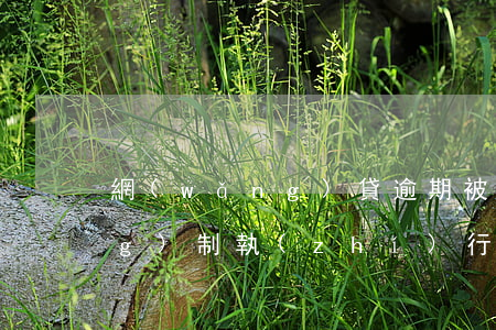網(wǎng)貸逾期被起訴強(qiáng)制執(zhí)行(網(wǎng)貸逾期強(qiáng)制執(zhí)行是什么意思)