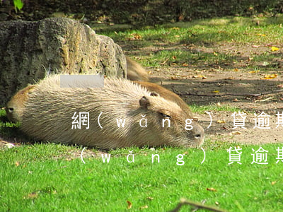 網(wǎng)貸逾期被起訴影響小孩嗎(網(wǎng)貸逾期對孩子的影響)
